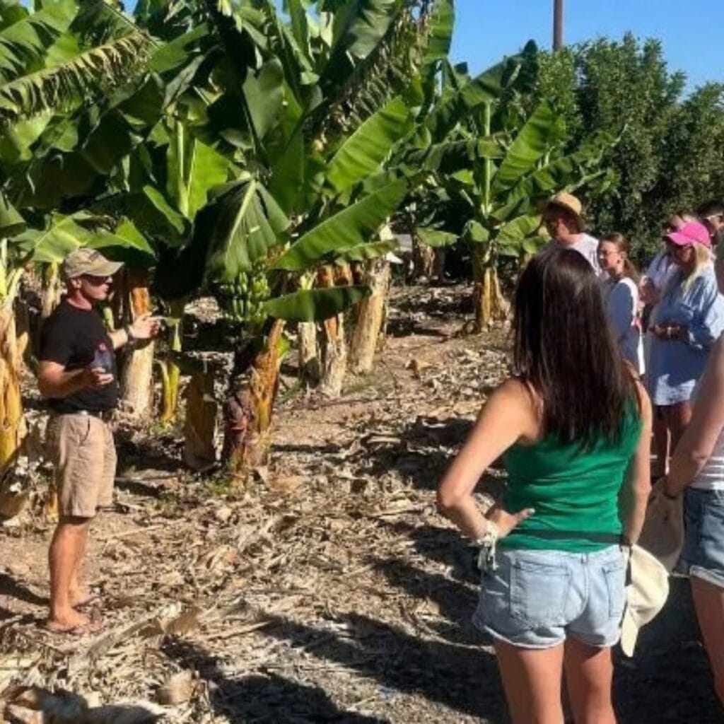 Jeep safari i rejs na Błękitną Lagunę z Pafos