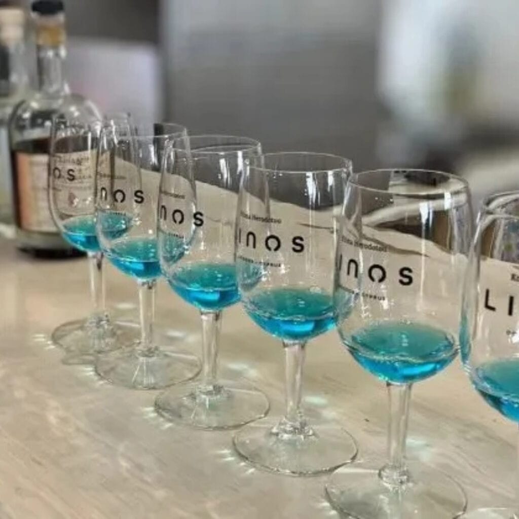 Troodos jeep safari z Pafos – wodospady, wioski i degustacja wina