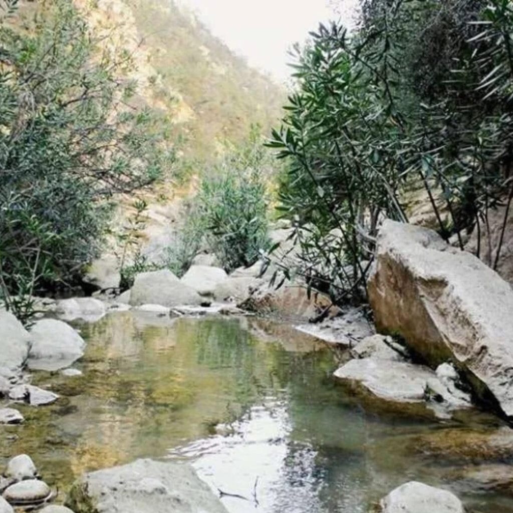 Troodos jeep safari z Pafos – wodospady, wioski i degustacja wina