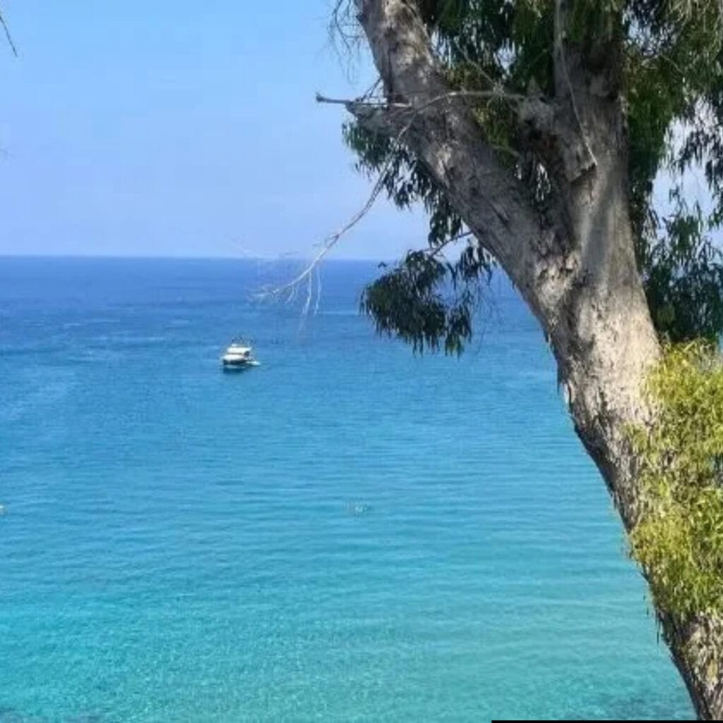 Akamas i Błękitna Laguna – jeep safari i rejs z Pafos